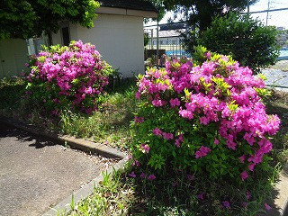 DSC06961