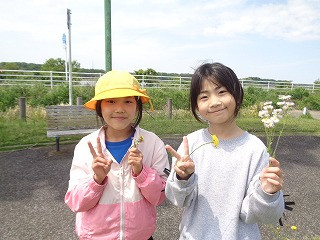 DSC07005