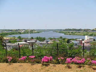 DSC07017