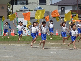 DSC00484