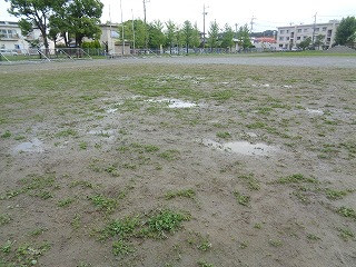 DSC00612