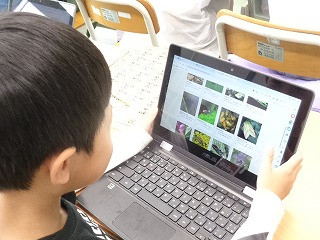 DSC00640