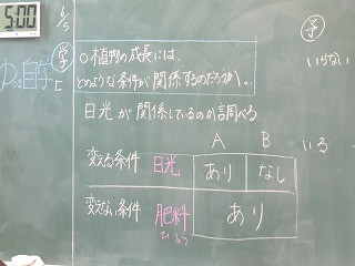 DSC00791