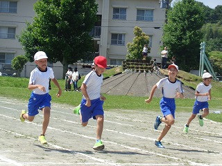 DSC01010