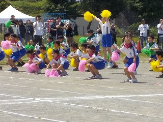 DSCN6985