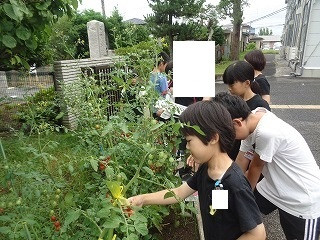 DSC00101