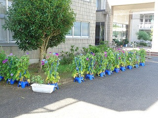 DSC00352