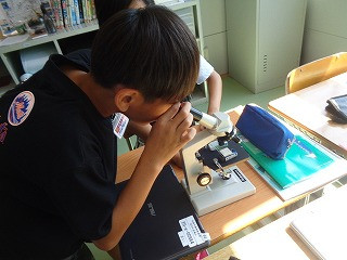 DSC00681