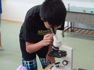 DSC00684