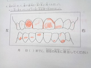 DSC00749