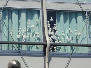 DSC01033