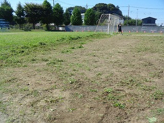 DSC01386