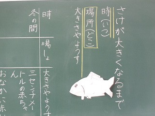 DSC01732