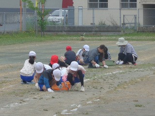 DSC00071