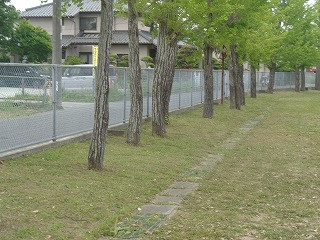 DSC00088