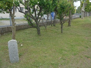 DSC00091