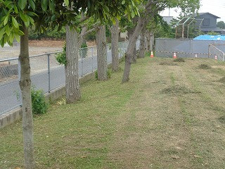 DSC00092