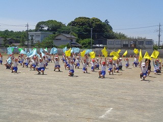 DSC00247