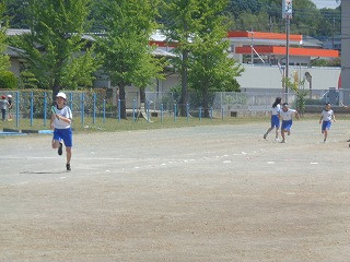 DSC00252