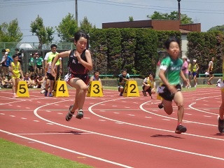 DSC00329