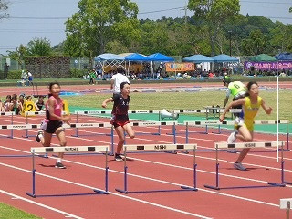 DSC00338