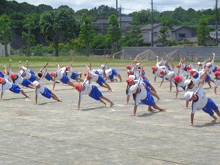 DSC00517