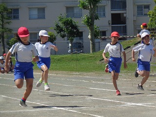 DSC00781