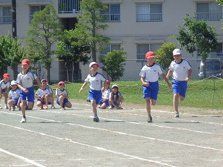 DSC00782