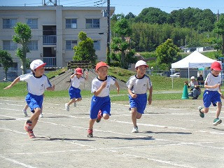 DSC00791