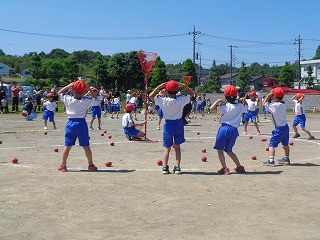 DSC00800