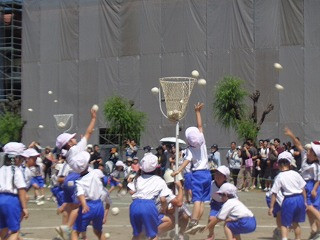 DSC00803