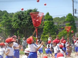 DSC00804