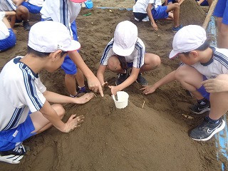 DSC00457